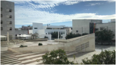 ��������˹����ѧѧ